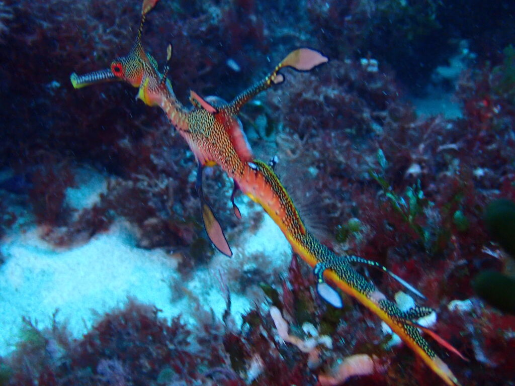 ae0a483d-52ad-473f-9c53-166102b96509