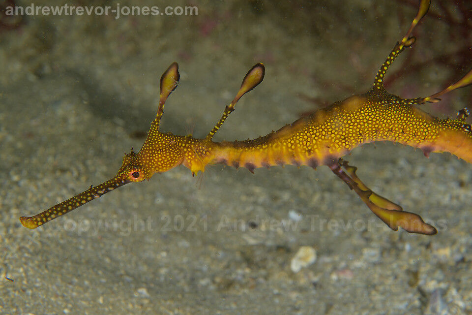 32f1e0e6-7891-45d7-953f-67cf535776a8